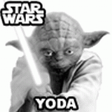 Tom Tom Yoda